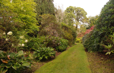An Elegant Garden, Dunoon Scotland